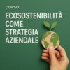 Strategia di ecosostenibilità aziendale e gestione responsabile delle risorse